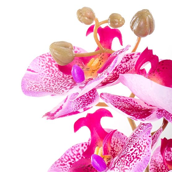 Artificial Flower FALENI Color Purple Modern Style ameliahome