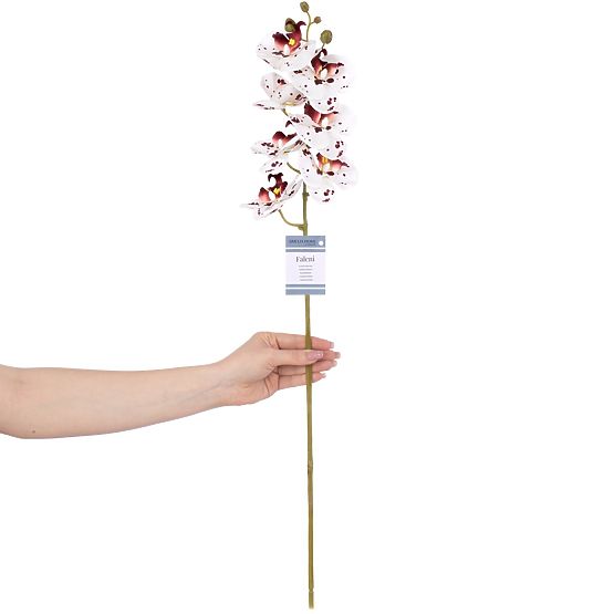Artificial Flower FALENI White Color Modern Style AmeliaHome