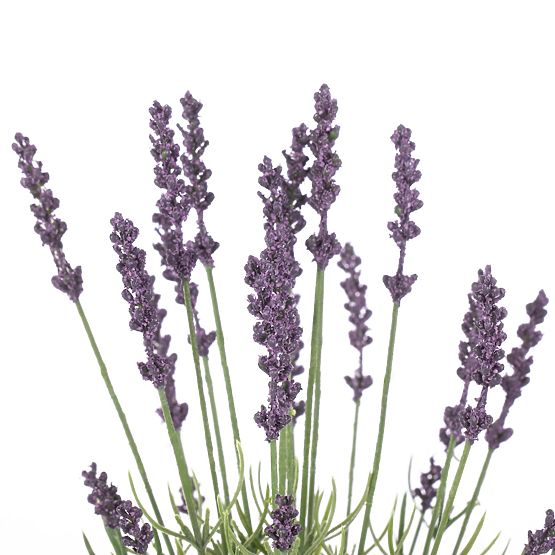 Artificial Flower LAVI Purple Color Boho Style AmeliaHome