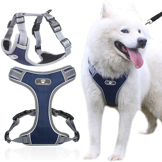 ASTRO Blue Dog Training Harness Size L