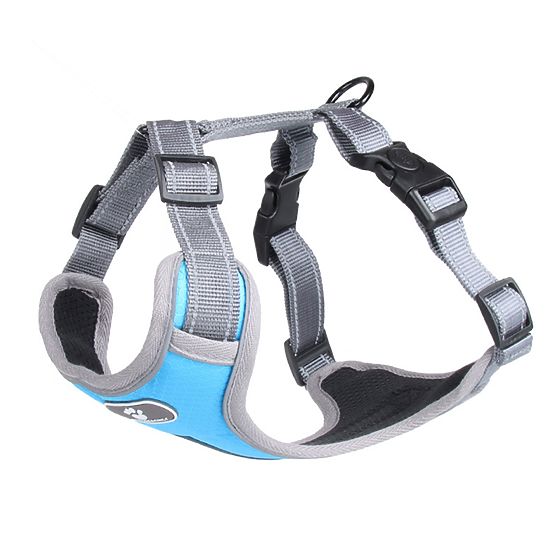 ASTRO Blue Dog Training Harness Size L