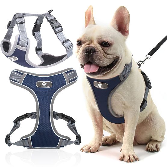 ASTRO Blue Dog Training Harness Size S