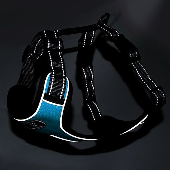 ASTRO Dog Training Harness Blue Size M