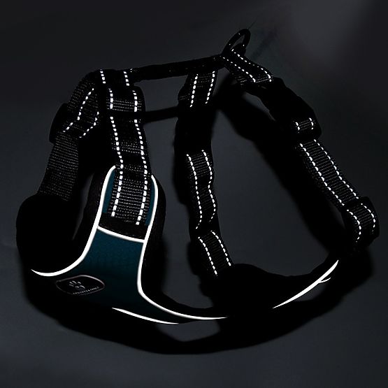 ASTRO Dog Training Harness Navy Blue Size XL