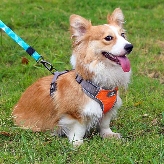 ASTRO Dog Training Harness Orange Size M