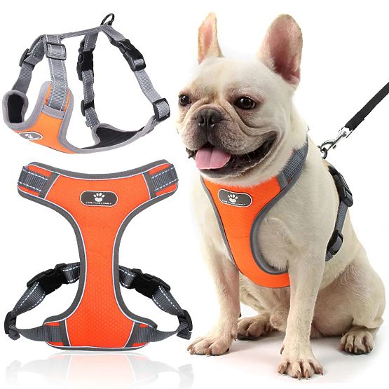 ASTRO Dog Training Harness Orange Size S