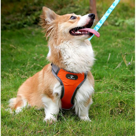 ASTRO Dog Training Harness Orange Size S