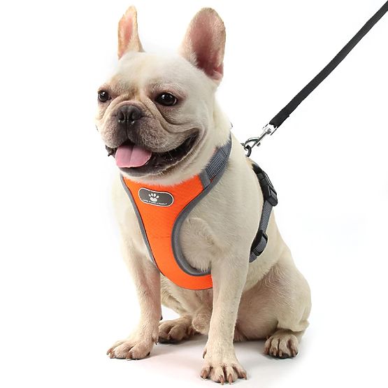 ASTRO Dog Training Harness Orange Size S