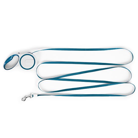 Automatic Leash for Dog or Cat with Lock, 3m