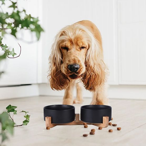 BLACK PET FOOD AND WATER BOWL 331579