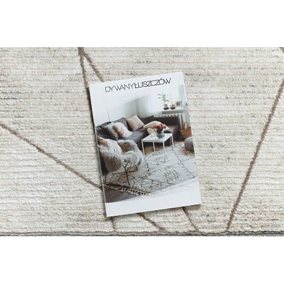 BLISS Z201Z128 Carpet Cream / Beige - Frame, Geometric, Modern, Structural