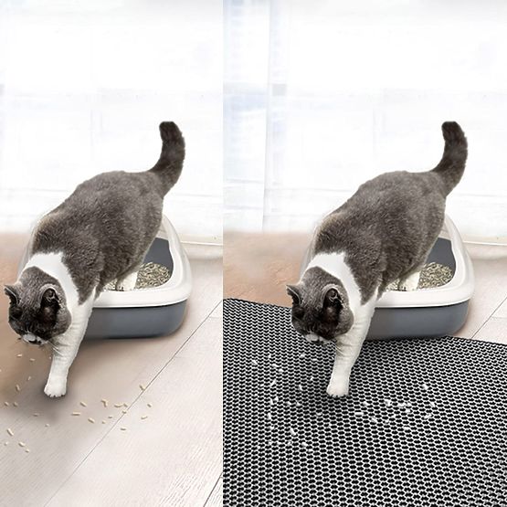 Cat Mat Doormat Catsy 40x50 cm Gray
