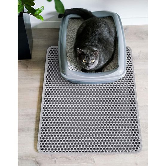 Cat Mat Doormat Catsy 40x50 cm Gray