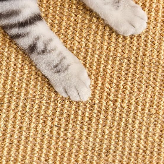 CAT SCRATCHING PAD 60x40cm 332494
