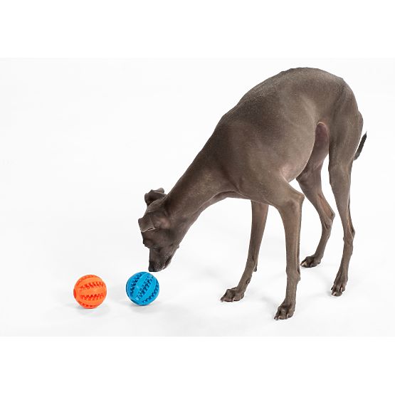 Chew Ball for Dogs Blue PJ-039