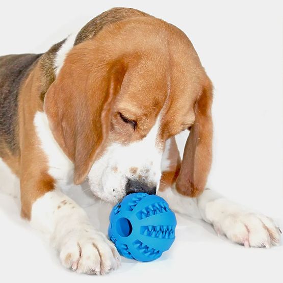 Chew Ball for Dogs Blue PJ-039