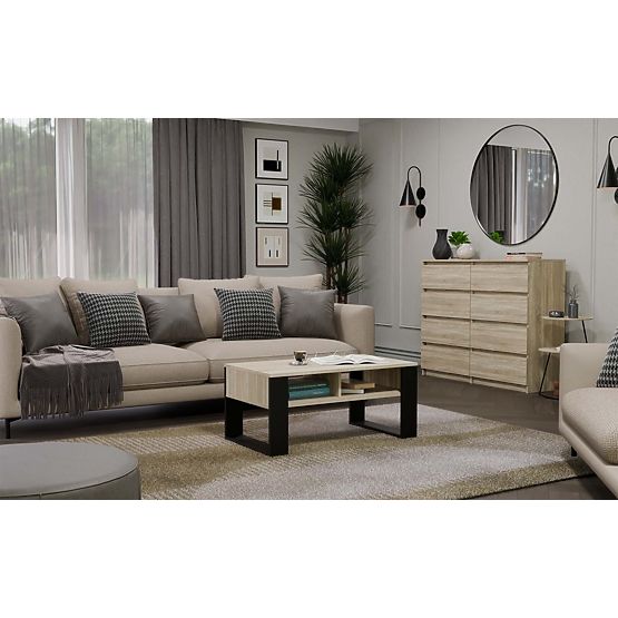 Coffee Table Modern 2P OAK SONOMA BLACK