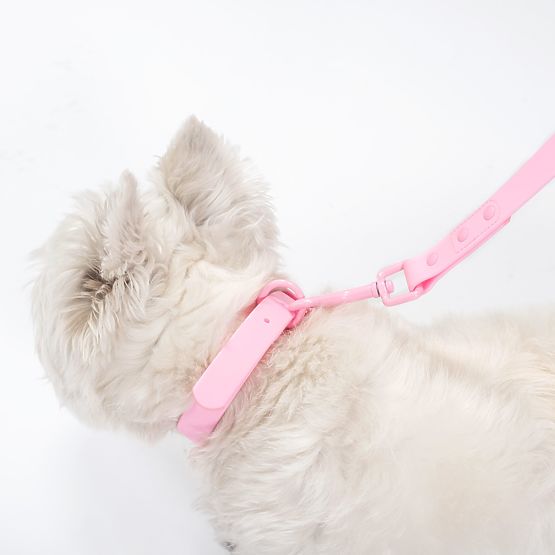 Dog Leash and Collar PJ-068 Pink S