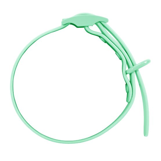 Dog Leash and Collar PJ-069 Green S