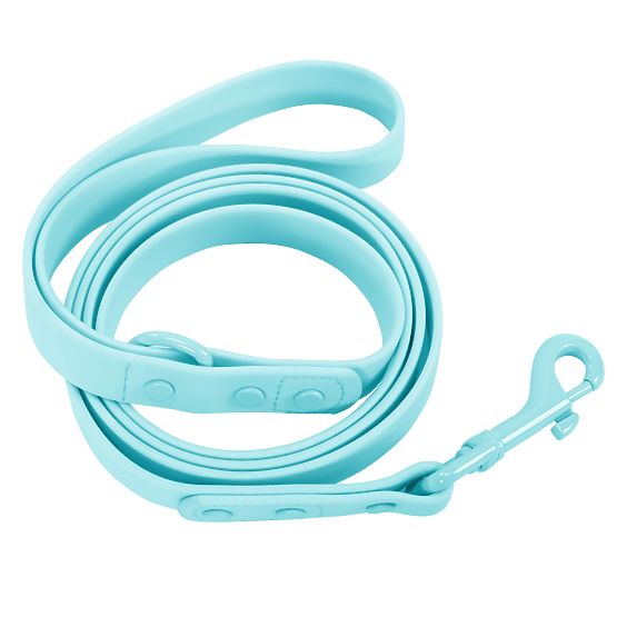 Dog Leash and Collar PJ-070 Blue S