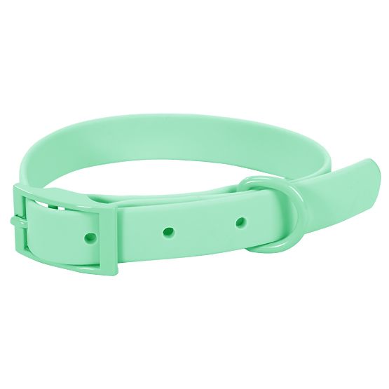Dog Leash and Collar PJ-073 Green M
