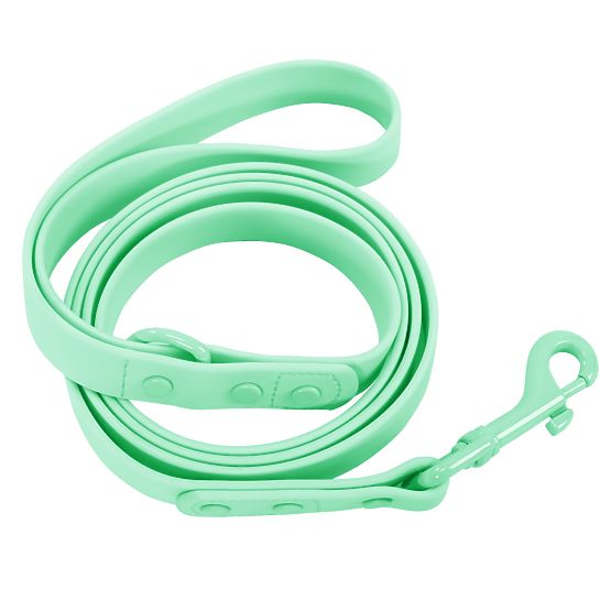 Dog Leash and Collar PJ-073 Green M