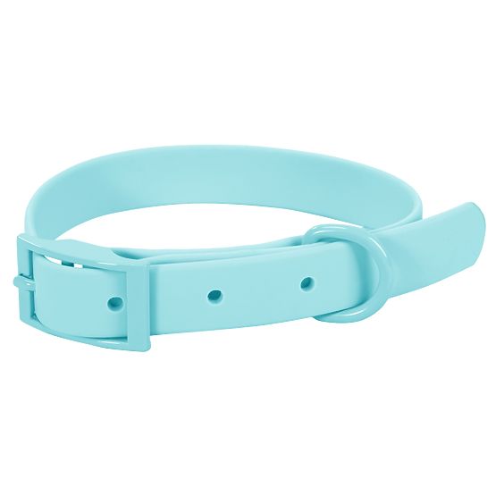 Dog Leash and Collar PJ-074 Blue M