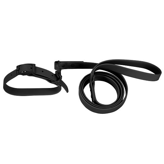 Dog Leash and Collar PJ-075 Black L
