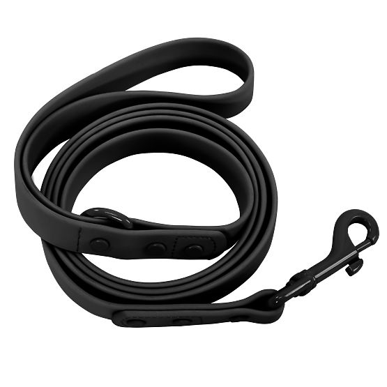 Dog Leash and Collar PJ-075 Black L