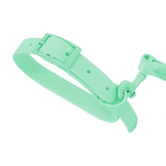 Dog Leash and Collar PJ-077 Green L