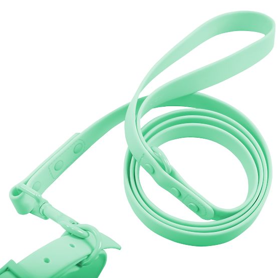 Dog Leash and Collar PJ-077 Green L