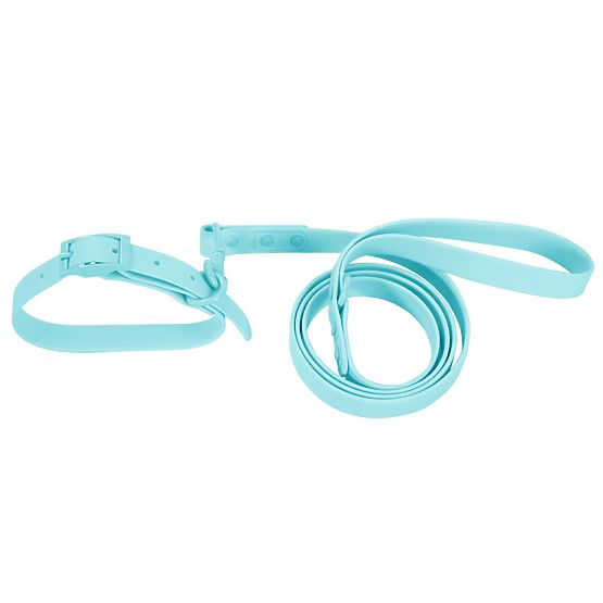 Dog Leash and Collar PJ-078 Blue L