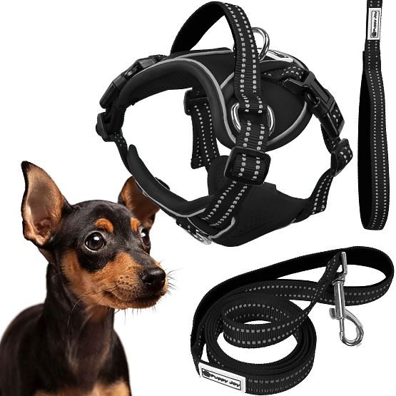 Dog Leash and Harness PJ-051 Black S