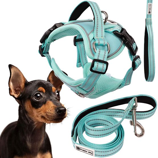 Dog Leash and Harness PJ-053 Green S