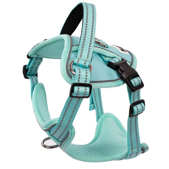 Dog Leash and Harness PJ-053 Green S