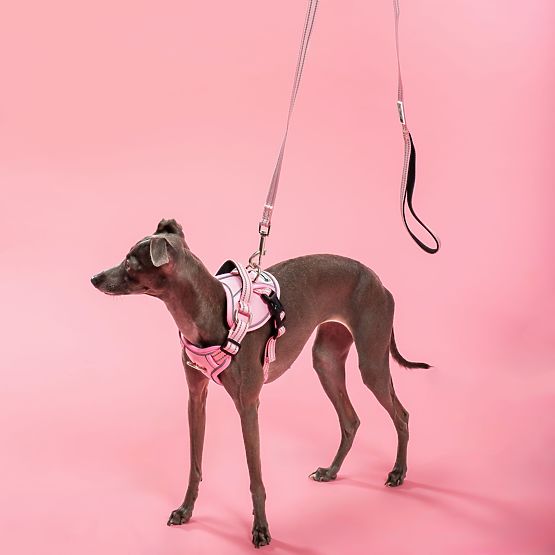 Dog Leash and Harness PJ-056 Pink M