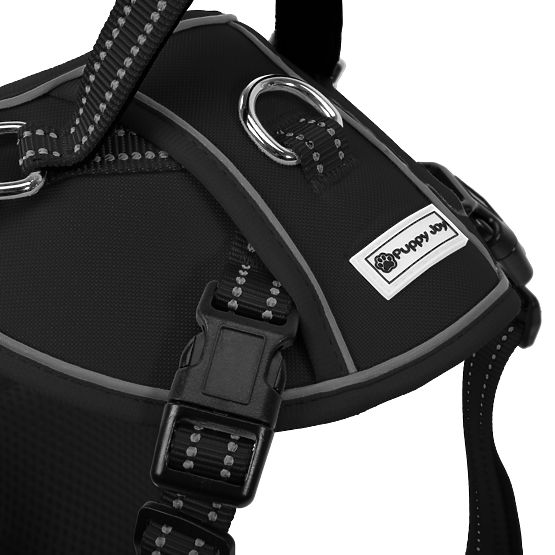 Dog Leash and Harness PJ-059 Black L