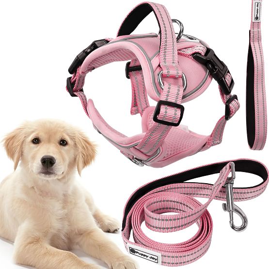 Dog Leash and Harness PJ-060 Pink L