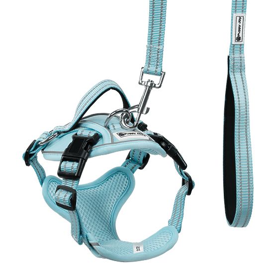 Dog Leash and Harness PJ-062 Blue L