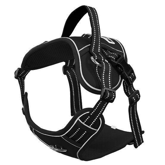 Dog Leash and Harness PJ-063 Black XL