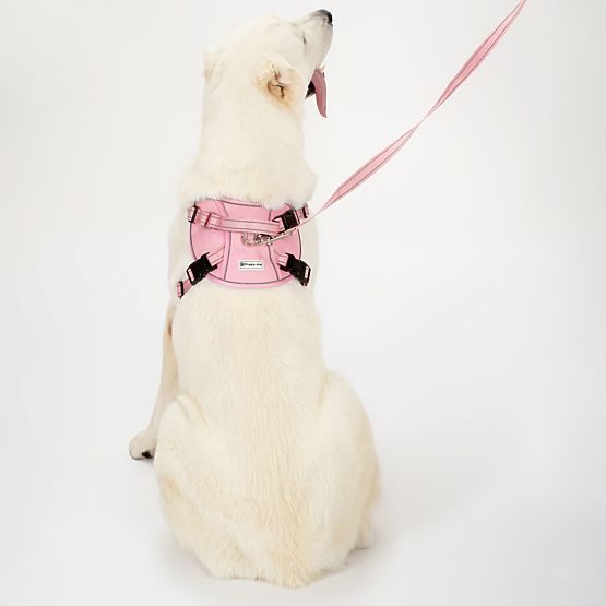 Dog Leash and Harness PJ-064 Pink XL