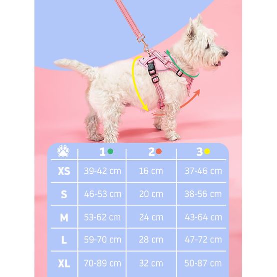 Dog Leash and Harness PJ-066 Blue XL