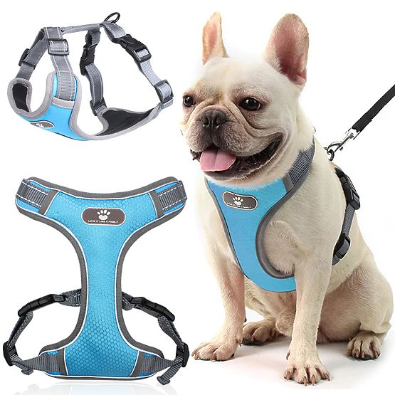 Dog Training Harness ASTRO Blue Size S