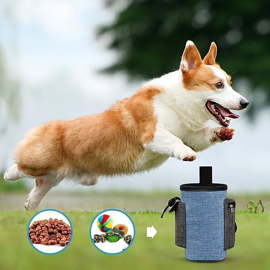 Dog Treat Bag MAILO Blue