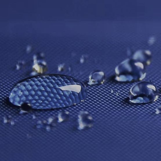 Express Business Pavilion - 3x6 m - Blue