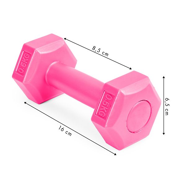 Fitness Dumbbells Set 2x 0.5 kg