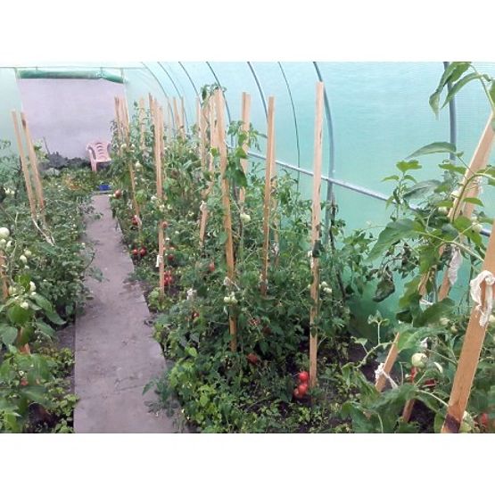 Foil Tunnel - Garden Greenhouse - 3x6 m