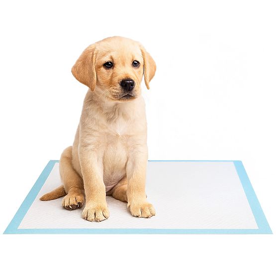 Hygienic Pads for Animals BARRY 50 pcs