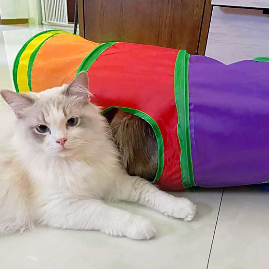Long Tunnel Spring Toy for Cat FIGARO