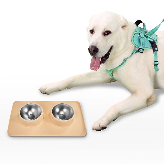 Metal Bowls for Dog or Cat with Non-Slip Mat Beige PJ-089